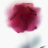 Abstract Pink Rose Floral Art Print